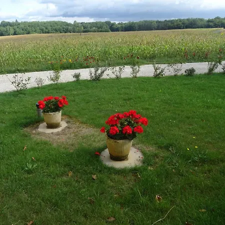 Maison Confortable Pres De Sarlat Avec Jardin Et Wifi - Fr-1-616-144 *